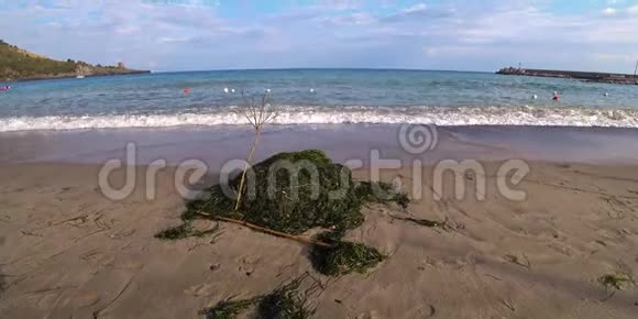 在沙滩上用一大片波西多尼亚海洋地草的叶子拍摄的视频的预览图