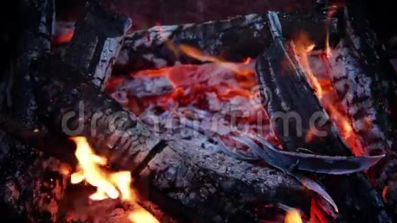 柴禾在傍晚的篝火中燃烧着大自然特写视频的预览图