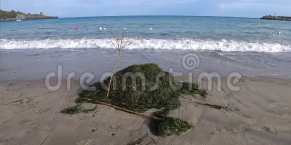 在沙滩上用一大片波西多尼亚海洋地草的叶子拍摄的视频的预览图