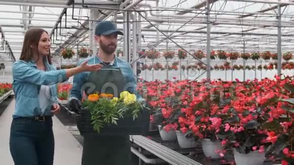 在大光明工业温室里有两个人带着装满鲜花的盒子穿过一排排生长着的植物视频的预览图