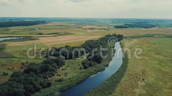 蓝色平静的河映出白云绿色茂密的森林地平线上的鸟瞰视频的预览图