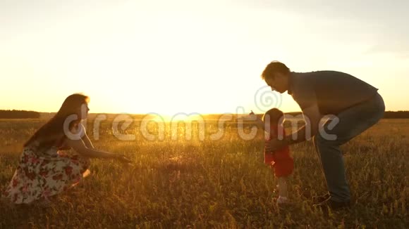 小女儿在阳光下从爸爸变成妈妈快乐的年轻家庭带着孩子在夏天的田野上散步健康的母亲视频的预览图