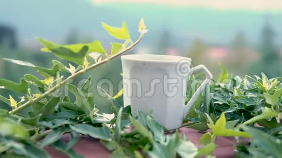 热气腾腾的茶或咖啡杯在常春藤覆盖的阳台栏杆上晨饮远眺群山视频的预览图