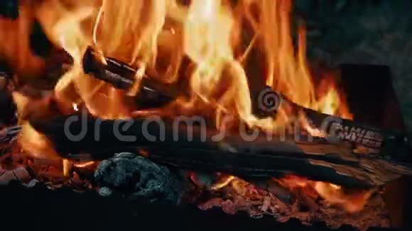 柴禾在傍晚的篝火中燃烧着大自然特写视频的预览图