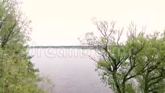 森林中大湖的鸟瞰图视频的预览图