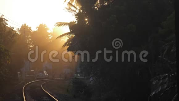 日落时分郁郁葱葱的棕榈树在空中缓缓移动视频的预览图