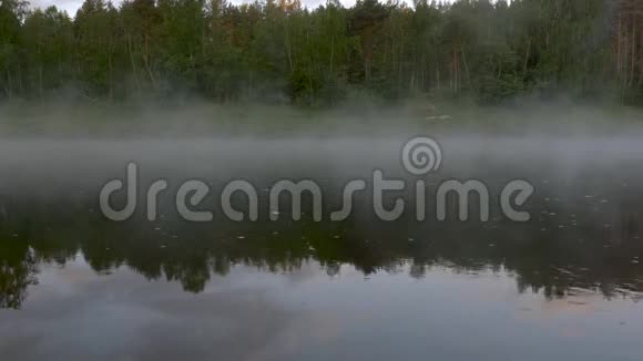 平静的河流晨雾弥漫阴云密布视频的预览图