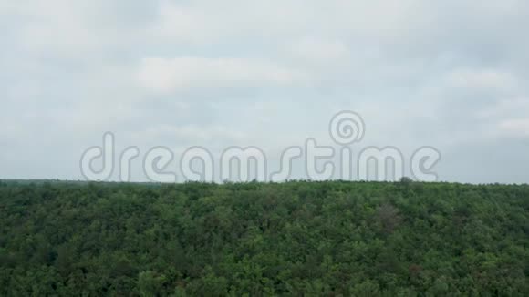 从一片茂密森林的空中拍摄下来视频的预览图