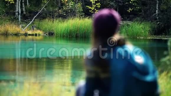 带背包的游客坐在蓝山湖边一棵倒下的树上湖的焦点在后景视频的预览图