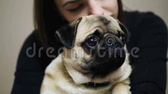 可爱的女人拥抱困倦的巴格合上可爱的胖狗视频的预览图