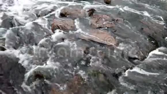 森林河流中快速流动的水视频的预览图