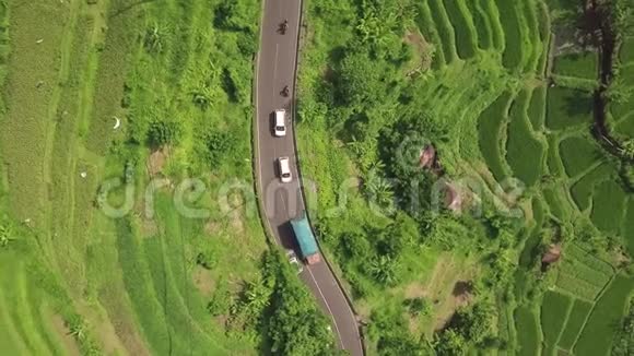 汽车高速公路和稻田从上面的飞行无人机亚细亚村绿化水稻种植鸟瞰图农业视频的预览图
