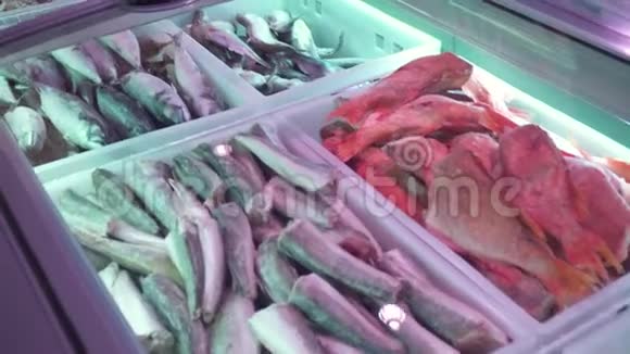 冷藏柜台里的各种冷冻海鱼大鱼市场视频的预览图