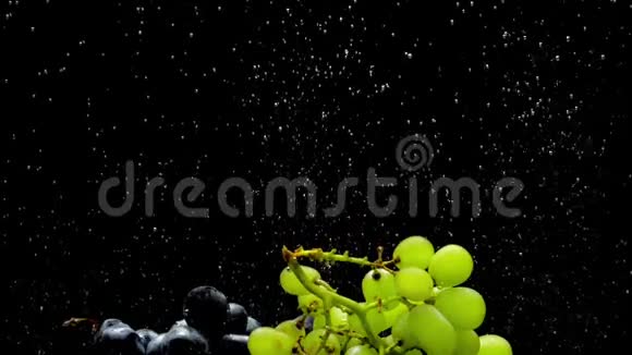 绿色和蓝色葡萄枝在黑色背景的透明水下视频的预览图
