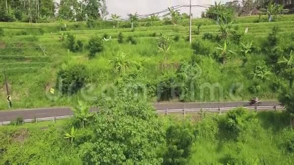 亚洲田园稻田鸟瞰从无人驾驶飞机上看到村里的公路和绿色水稻种植视频的预览图