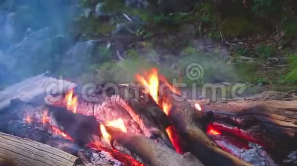 活火中的火焰燃烧的木头炽热的余烬视频的预览图