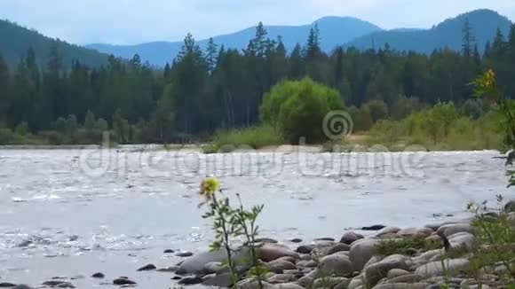 强大的山河OkaSayan在泰加河中流动在山脉的背景下视频的预览图