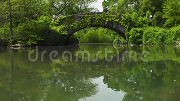 纽约中央公园的Gapstow桥和池塘视频的预览图