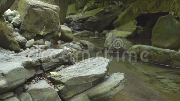 徒步旅行者与马拉穆特犬在山区的丛林自然公园穿越山河徒步旅行视频的预览图