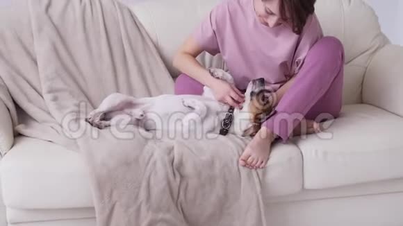 快乐的年轻女人和她的杰克罗塞尔猎犬在她的公寓里视频的预览图