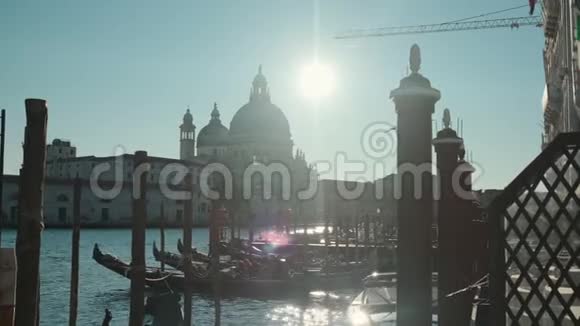 在威尼斯阳光明媚的早晨海鸥正坐在柱子上停泊着刚多拉斯视频的预览图