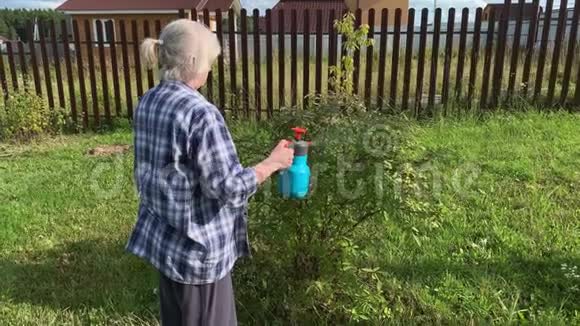 女园丁用杀虫剂内喷雾瓶喷洒果树和灌木以防治植物病虫害视频的预览图