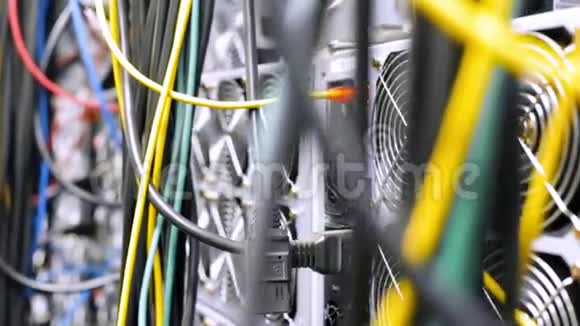 计算机设备的多色电缆的特写库存录像数据中心设备有许多连接和视频的预览图