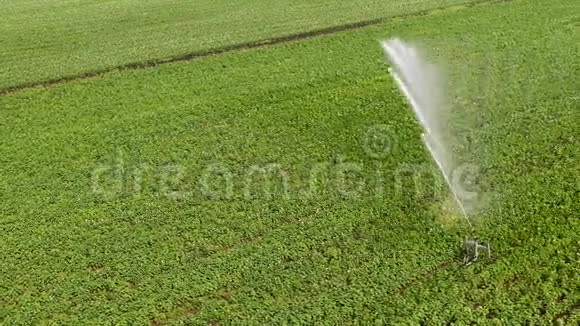 俯视图灌溉喷头在现场空中拍摄视频的预览图