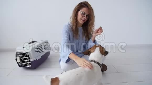 快乐的年轻女人和她的杰克罗塞尔猎犬在她的公寓里视频的预览图