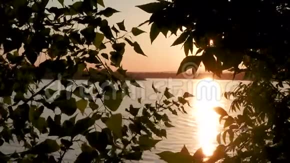 日落时的河堤长廊的轮廓视频的预览图