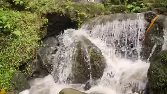 穿着白色连衣裙和草帽的年轻女孩举起手臂在惊人的瀑布中吸入新鲜的丛林空气免费生活旅行视频的预览图