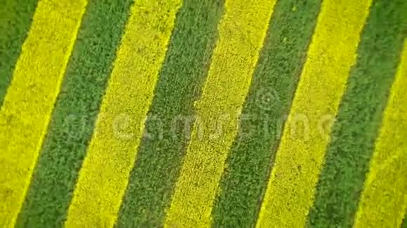 黄绿条纹在农田空中和转弯催眠中的应用视频的预览图