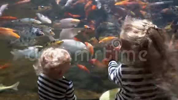 兴奋的姐姐和哥哥在水族馆里看异国情调的鱼万向节运动视频的预览图