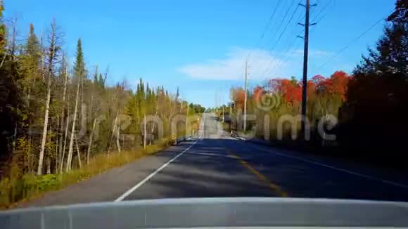 秋日汽车后视农村公路汽车角度POV后车乡村街视频的预览图
