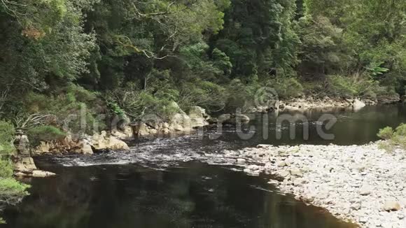 塔斯马尼亚塔金雨林的黑河视频的预览图