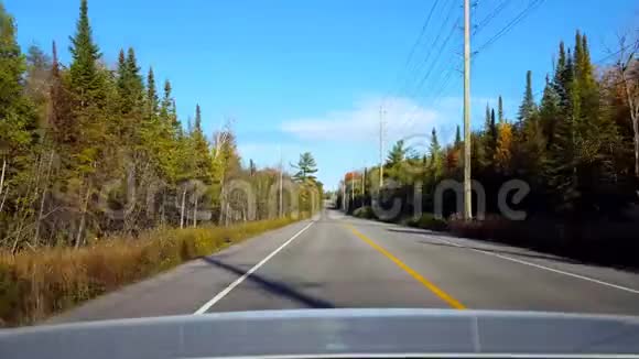 白天从车后看农村森林乡村道路汽车角度POV后车乡村街视频的预览图