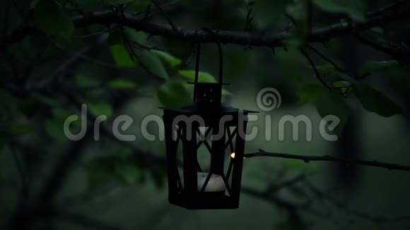 女的手在森林里的蜡烛灯上点燃蜡烛视频的预览图