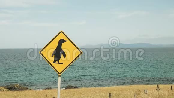 塔斯马尼亚斯坦利的企鹅路标视频的预览图