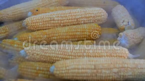 将新鲜多汁环保的玉米不含农药和网壳放入大锅中用于街头食品视频的预览图