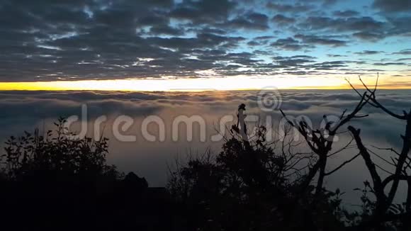 清晨薄雾和雾慢慢地从日出的角度出发在泰国清迈的高山道琅潮视频的预览图
