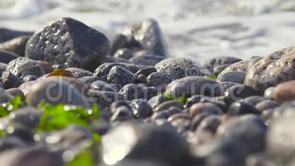 智利阿尔加罗博石藻水的和谐视频的预览图