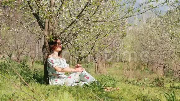 一位年轻的美女身穿长裙坐在盛开的梅树下视频的预览图