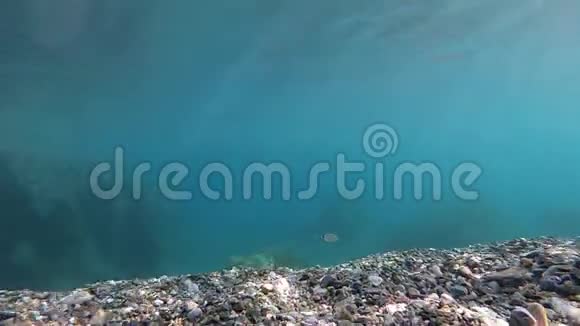 在海底游泳拍摄镜头慢动作视频的预览图