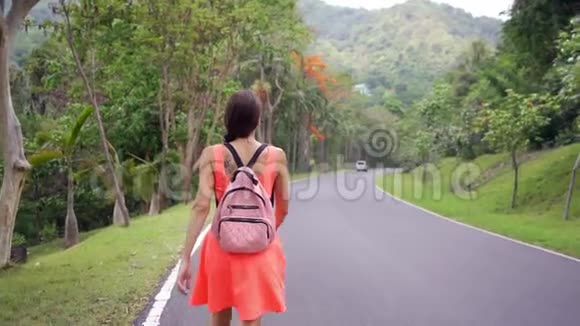 美丽的热带雨林带着一位年轻的女旅行者在进入泰国森林的路上女性在雨林中行走视频的预览图