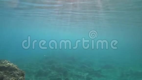 在海底游泳拍摄镜头慢动作视频的预览图