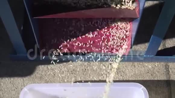 碾米机农业工艺视频的预览图