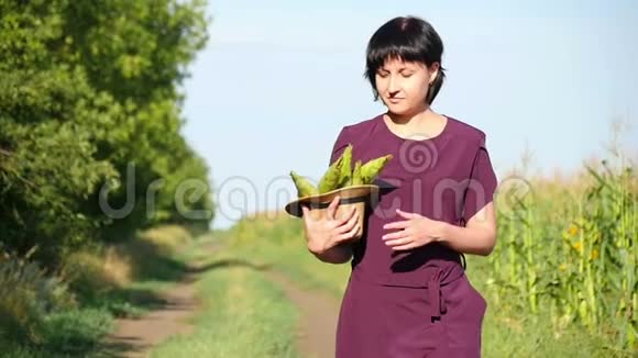 一个女孩穿着紫丁香的裙子穿过田野带着一顶带着玉米作物的草帽农业的概念视频的预览图