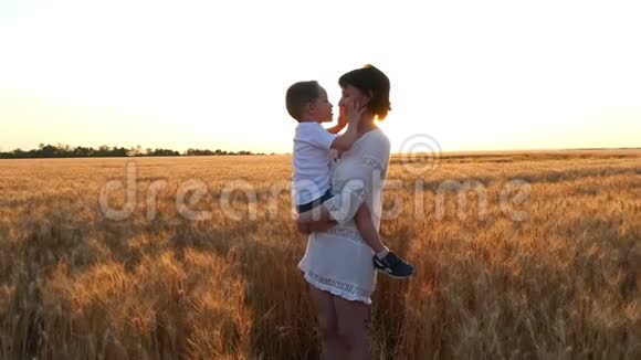 一个快乐的母亲抱着一个孩子在日落背景下的麦田里男孩抚摸他母亲视频的预览图