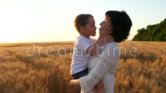一个快乐的母亲把一个孩子抱在小麦地里快乐的孩子吻妈妈脸妈妈吻孩子视频的预览图
