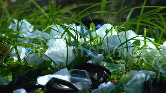 在森林垃圾填埋场扔塑料袋的人对环境的影响视频的预览图
